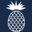 88northcantonroad.com favicon